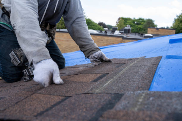 Best Roof Gutter Cleaning  in Eagleville, PA